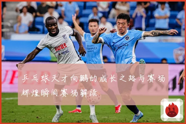 乒乓球天才向鹏的成长之路与赛场辉煌瞬间赛场解读