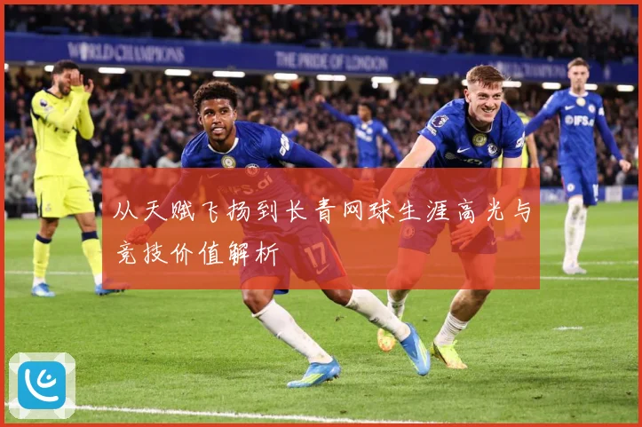 从天赋飞扬到长青网球生涯高光与竞技价值解析