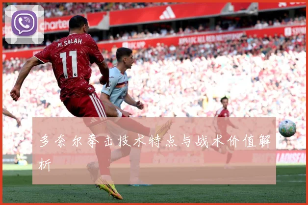 多奈尔拳击技术特点与战术价值解析