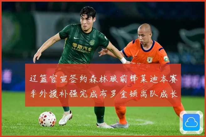 辽篮官宣签约森林狼前锋莱迪本赛季外援补强完成布罗金顿离队成长观察