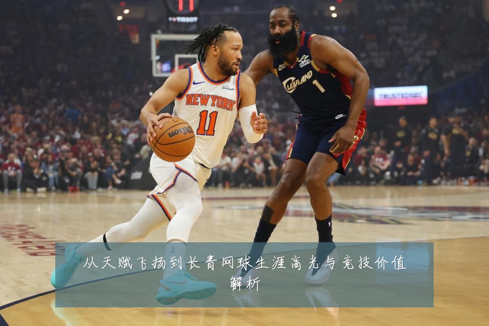 从天赋飞扬到长青网球生涯高光与竞技价值解析