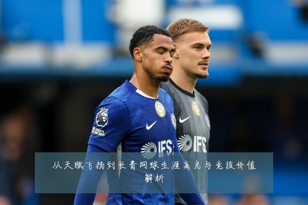 从天赋飞扬到长青网球生涯高光与竞技价值解析