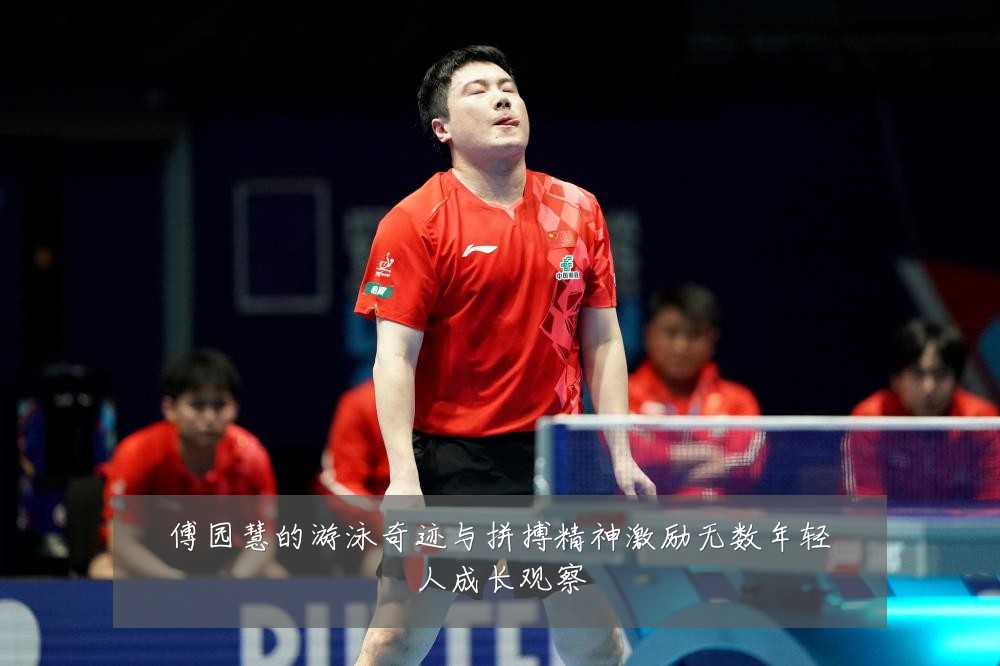 傅园慧的游泳奇迹与拼搏精神激励无数年轻人成长观察