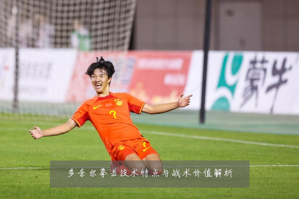多奈尔拳击技术特点与战术价值解析
