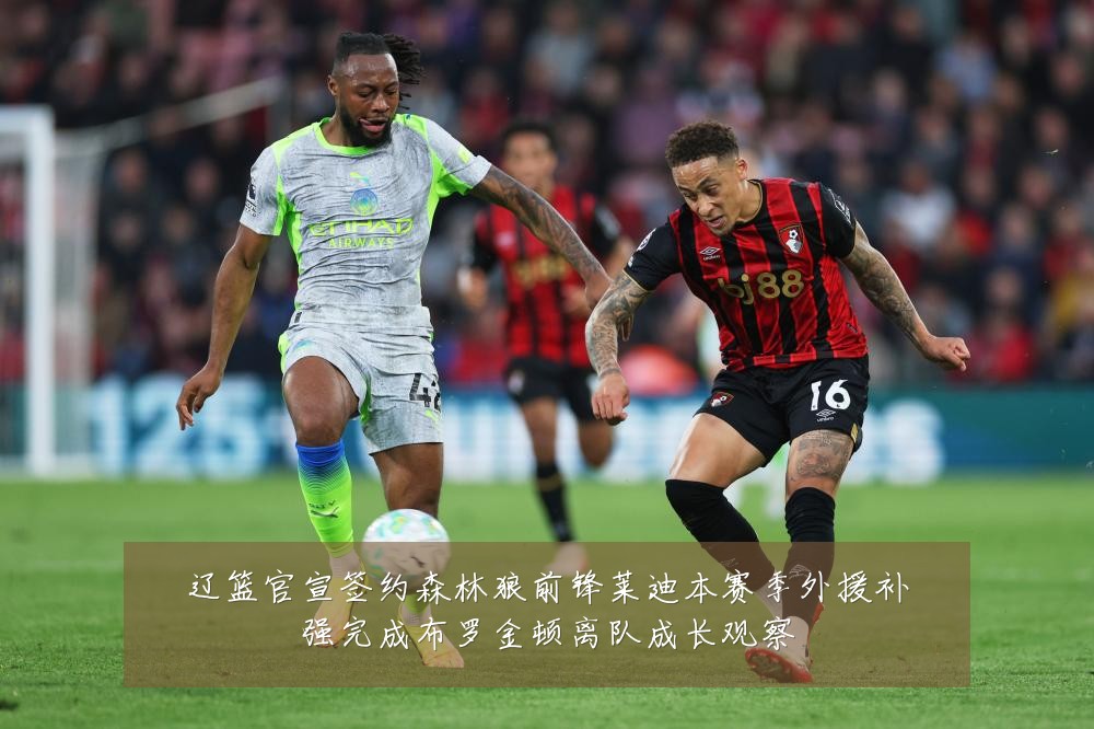 辽篮官宣签约森林狼前锋莱迪本赛季外援补强完成布罗金顿离队成长观察
