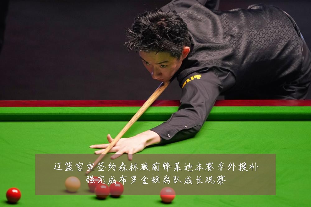 辽篮官宣签约森林狼前锋莱迪本赛季外援补强完成布罗金顿离队成长观察