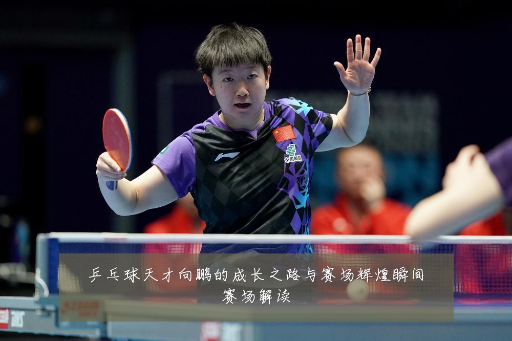乒乓球天才向鹏的成长之路与赛场辉煌瞬间赛场解读